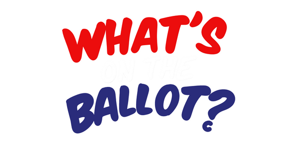 What's On the Ballot?